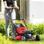 Benzinrasenmäher MS173-51 Scheppach mit Motoröl & Ersatzmesser – 51cm Schnittbreite | Radantrieb